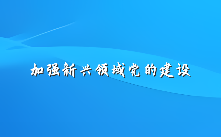 加强新兴领域党的建设