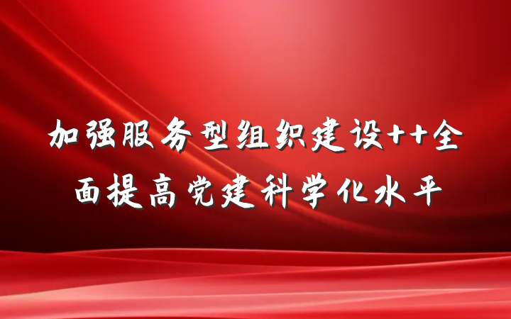 加强服务型组织建设  全面提高党建科学化水平