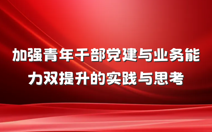 加强青年干部党建与业务能力双提升的实践与思考