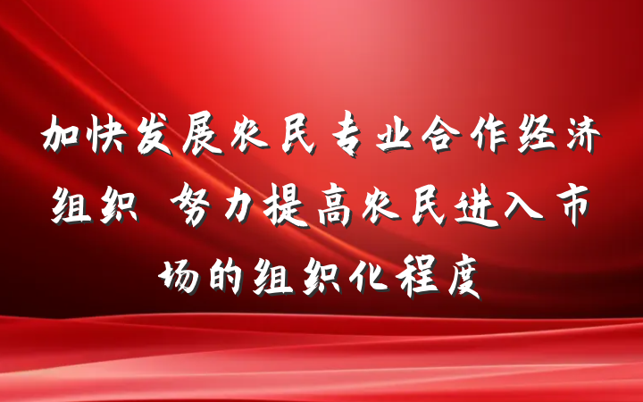 加快发展农民专业合作经济组织　努力提高农民进入市场的组织化程度