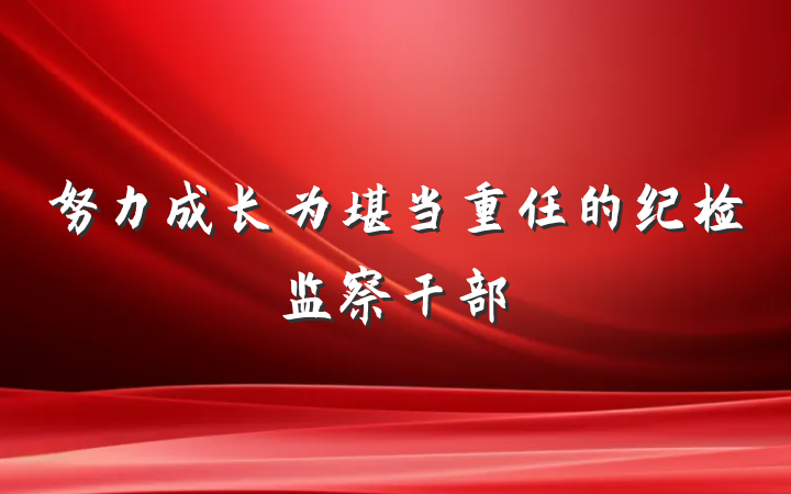 努力成长为堪当重任的纪检监察干部