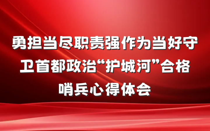勇担当尽职责强作为当好守卫首都政治“护城河”合格哨兵心得体会