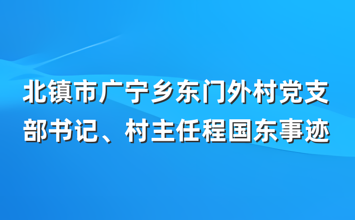 北镇市广宁乡东门外村党支部书记、村主任程国东事迹