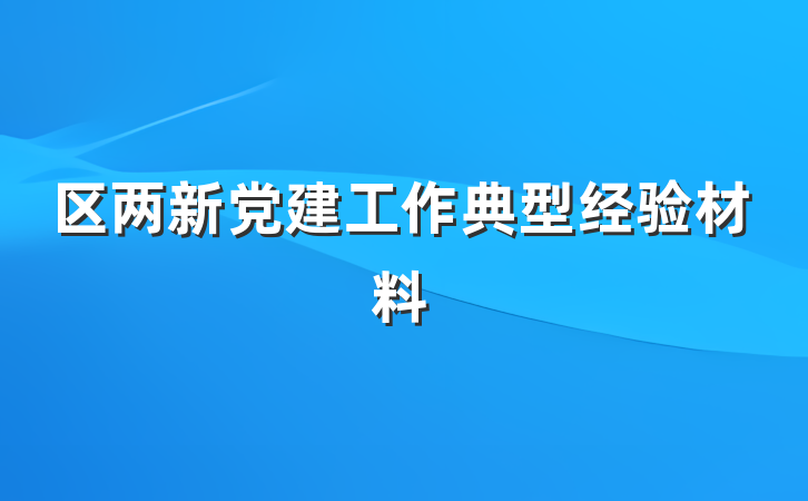 区两新党建工作典型经验材料