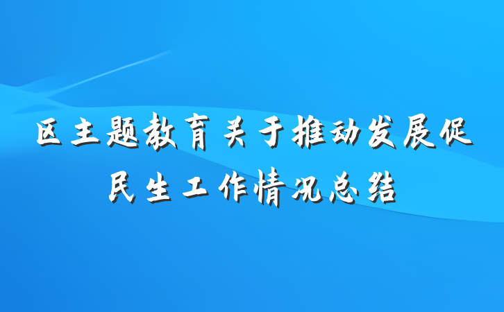 区主题教育关于推动发展促民生工作情况总结