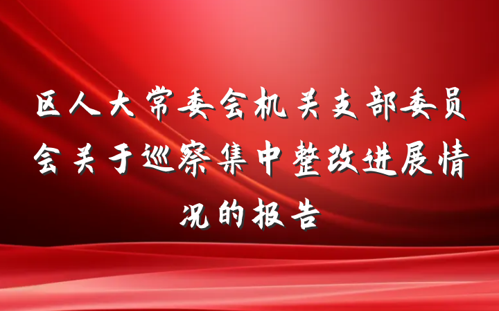 区人大常委会机关支部委员会关于巡察集中整改进展情况的报告