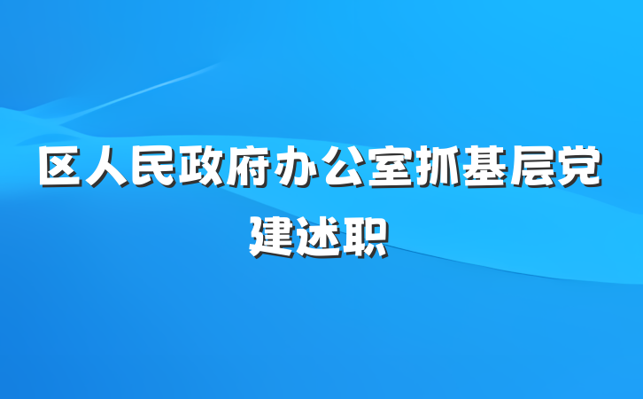 区人民政府办公室抓基层党建述职