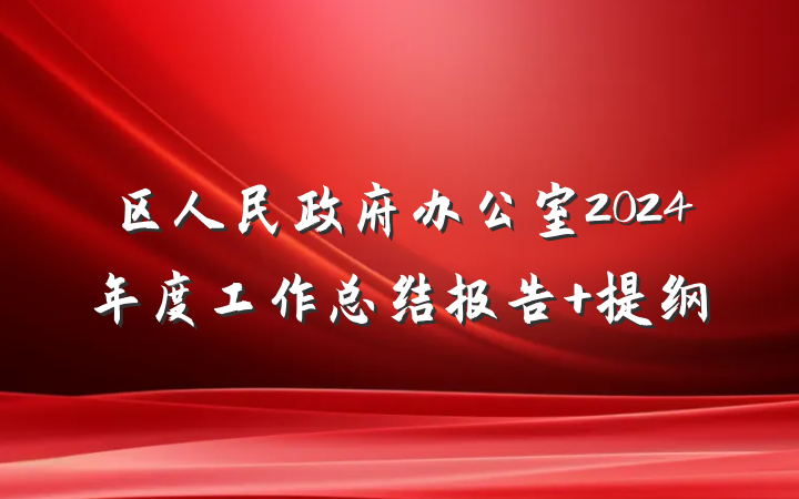 区人民政府办公室2024年度工作总结报告 提纲