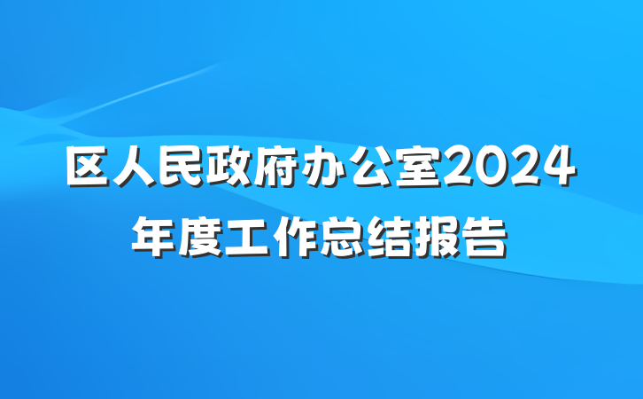 区人民政府办公室2024年度工作总结报告