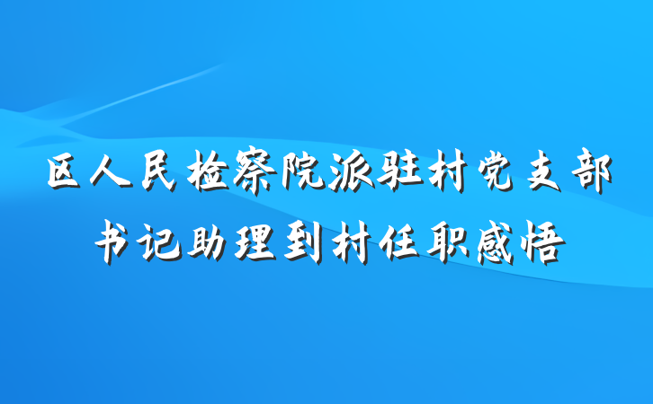 区人民检察院派驻村党支部书记助理到村任职感悟