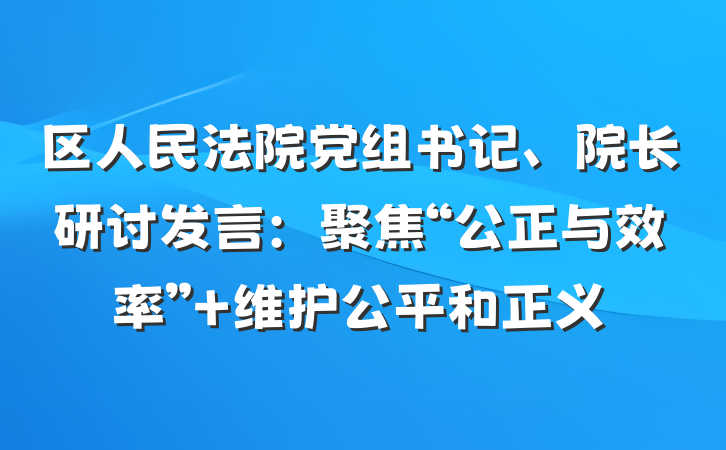 区人民法院党组书记、院长研讨发言：聚焦“公正与效率” 维护公平和正义