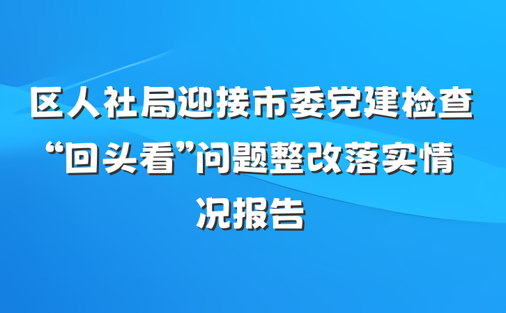 区人社局迎接市委党建检查“回头看”问题整改落实情况报告