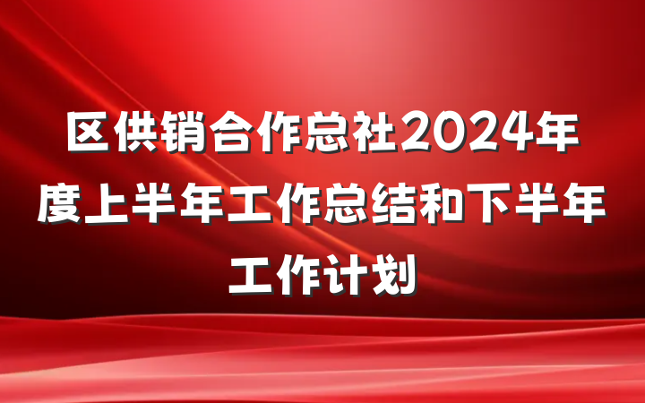 区供销合作总社2024年度上半年工作总结和下半年工作计划