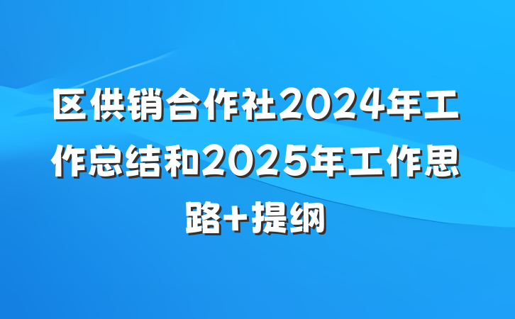 区供销合作社2024年工作总结和2025年工作思路 提纲