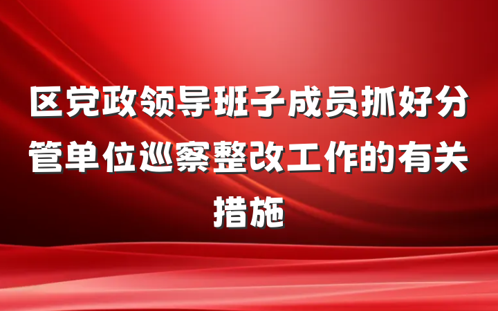 区党政领导班子成员抓好分管单位巡察整改工作的有关措施