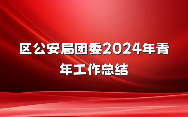 区公安局团委2024年青年工作总结