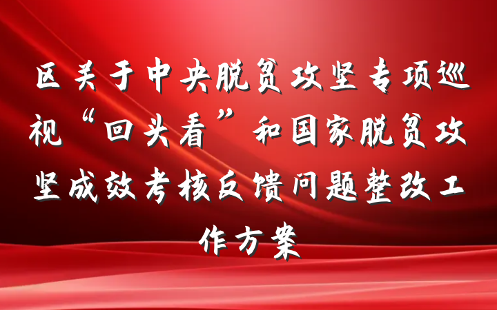 区关于中央脱贫攻坚专项巡视“回头看”和国家脱贫攻坚成效考核反馈问题整改工作方案