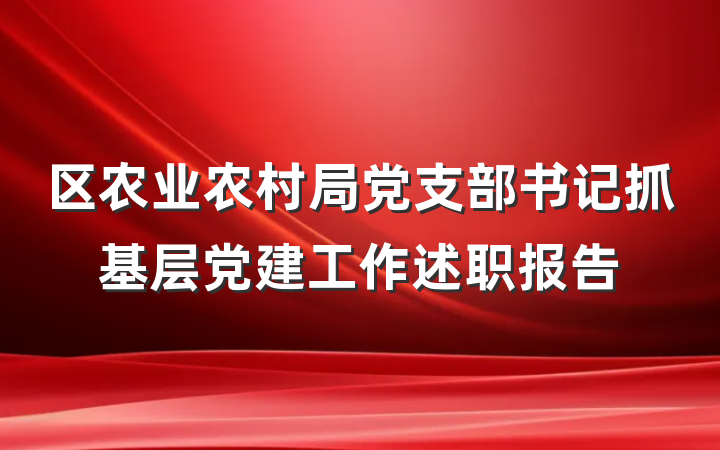 区农业农村局党支部书记抓基层党建工作述职报告