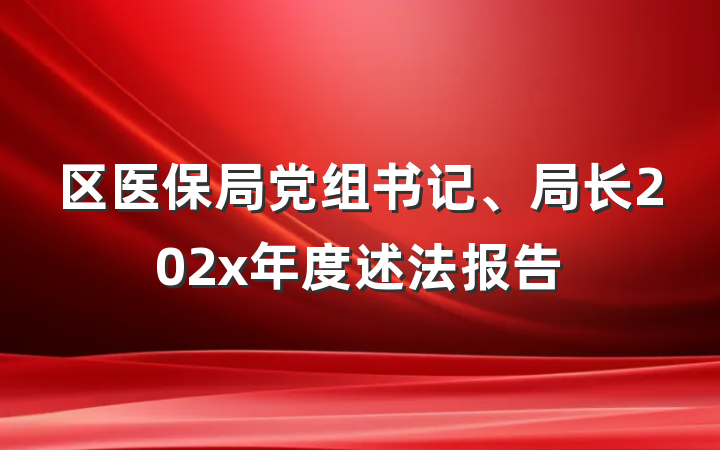 区医保局党组书记、局长202x年度述法报告