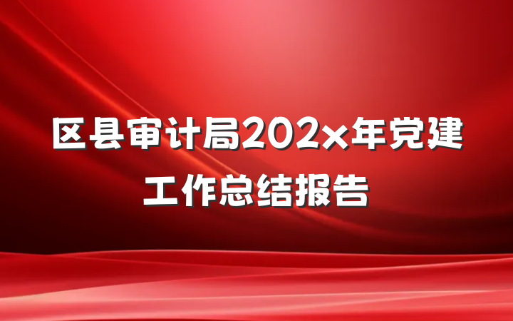 区县审计局202x年党建工作总结报告