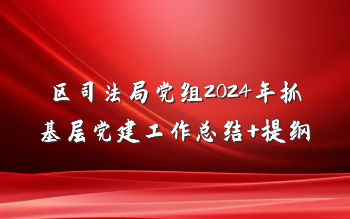 区司法局党组2024年抓基层党建工作总结 提纲