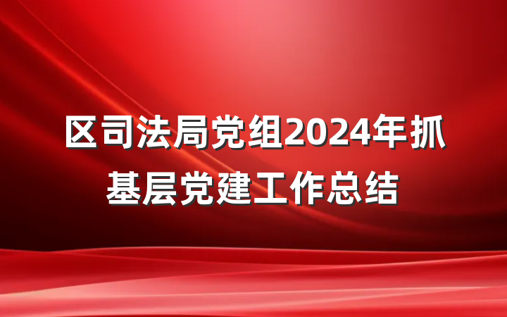 区司法局党组2024年抓基层党建工作总结