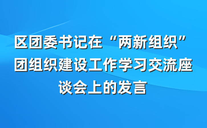 区团委书记在“两新组织”团组织建设工作学习交流座谈会上的发言