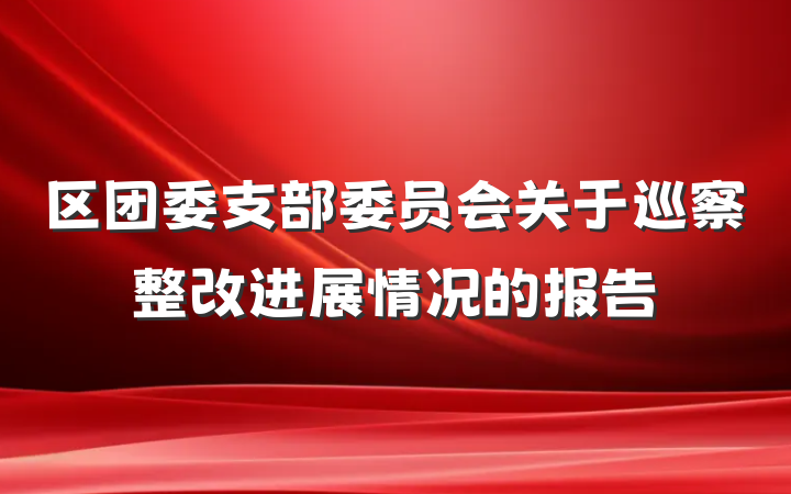 区团委支部委员会关于巡察整改进展情况的报告