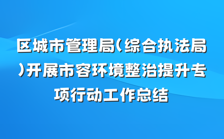 区城市管理局（综合执法局）开展市容环境整治提升专项行动工作总结