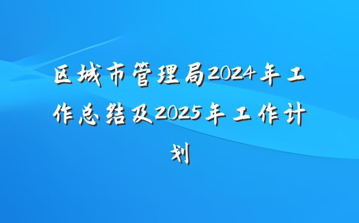 区城市管理局2024年工作总结及2025年工作计划
