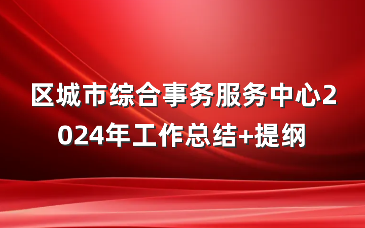 区城市综合事务服务中心2024年工作总结 提纲