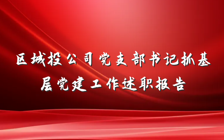 区城投公司党支部书记抓基层党建工作述职报告
