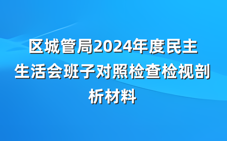 区城管局2024年度民主生活会班子对照检查检视剖析材料