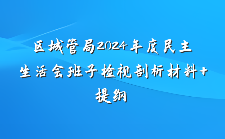 区城管局2024年度民主生活会班子检视剖析材料 提纲