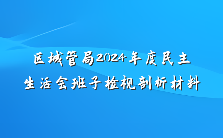 区城管局2024年度民主生活会班子检视剖析材料