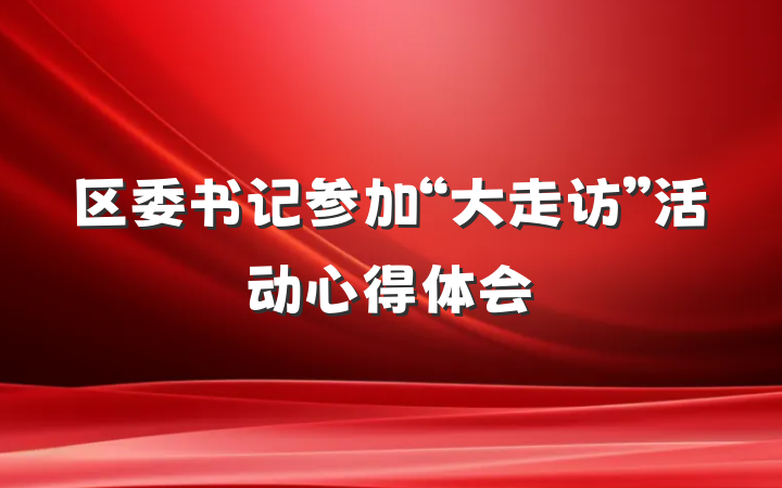 区委书记参加“大走访”活动心得体会