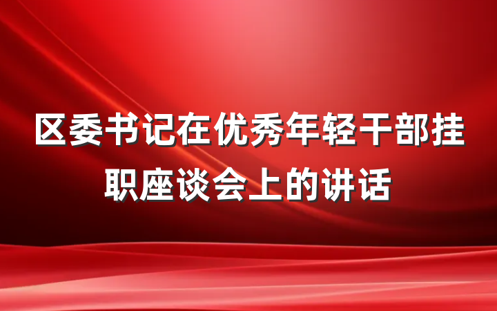 区委书记在优秀年轻干部挂职座谈会上的讲话