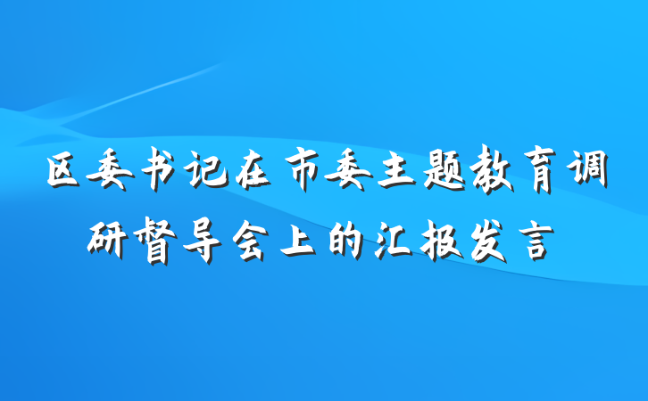 区委书记在市委主题教育调研督导会上的汇报发言