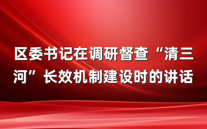 区委书记在调研督查“清三河”长效机制建设时的讲话