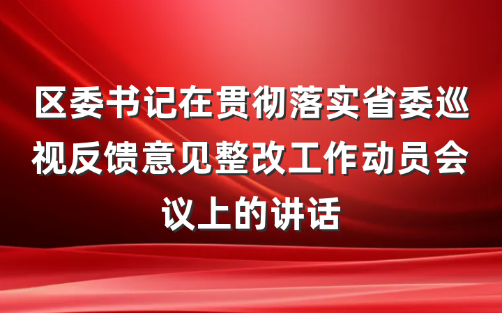 区委书记在贯彻落实省委巡视反馈意见整改工作动员会议上的讲话