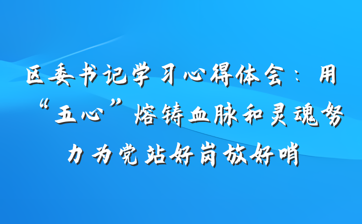 区委书记学习心得体会：用“五心”熔铸血脉和灵魂努力为党站好岗放好哨