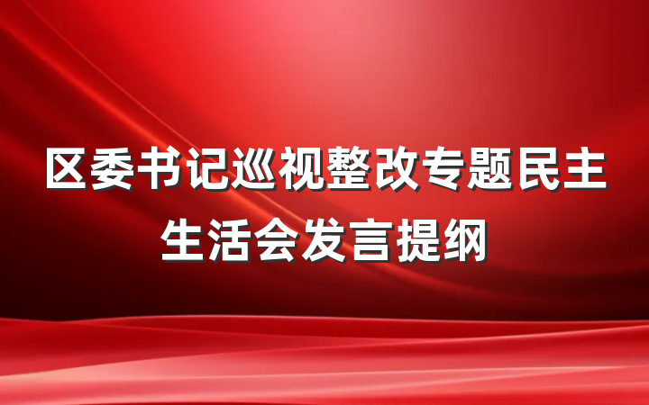 区委书记巡视整改专题民主生活会发言提纲