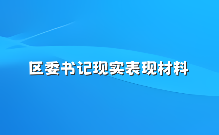 区委书记现实表现材料