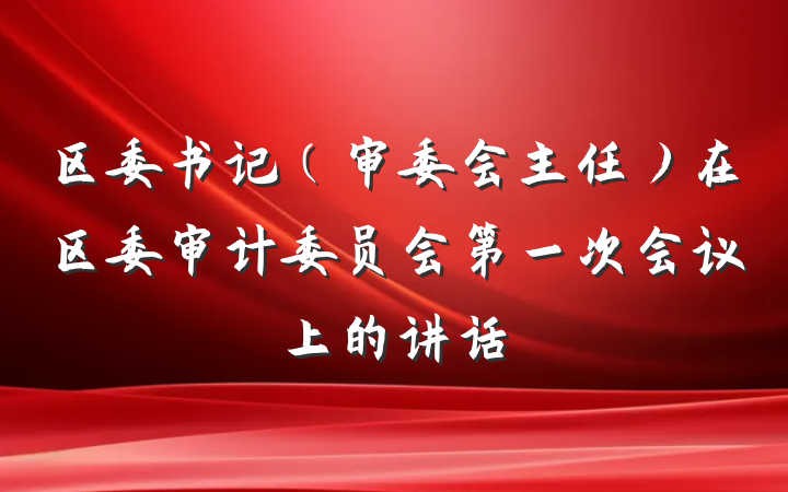 区委书记（审委会主任）在区委审计委员会第一次会议上的讲话