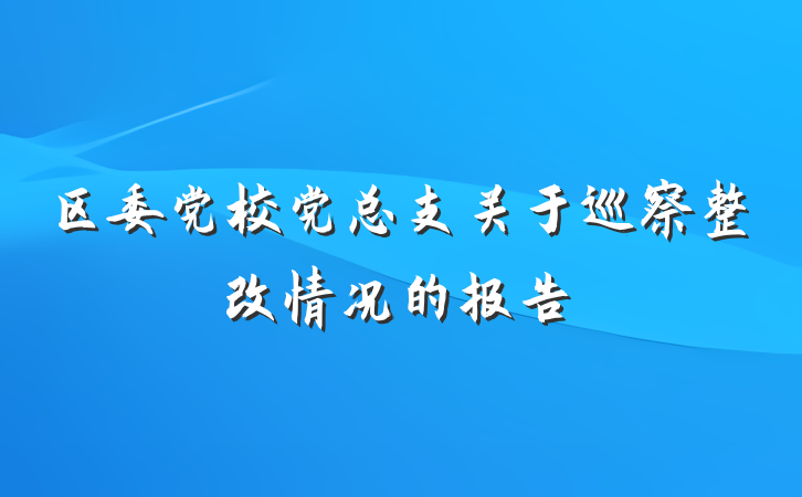 区委党校党总支关于巡察整改情况的报告