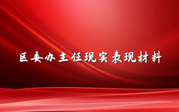 区委办主任现实表现材料