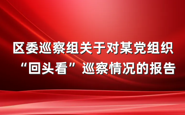 区委巡察组关于对某党组织“回头看”巡察情况的报告