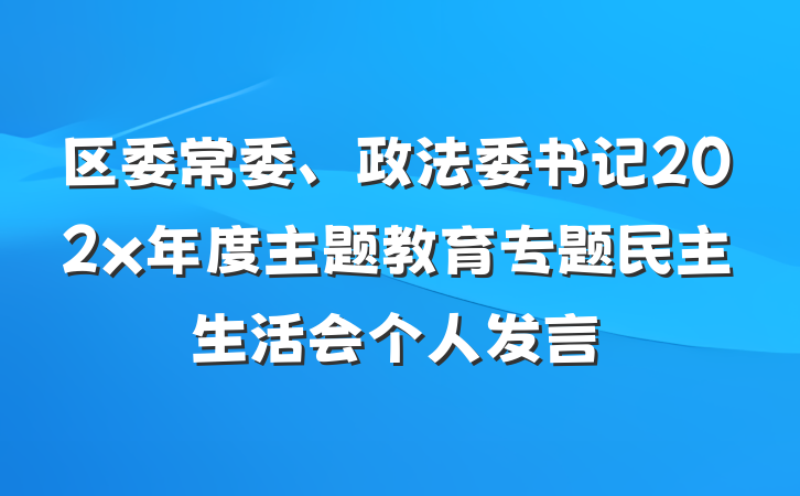 区委常委、政法委书记202x年度主题教育专题民主生活会个人发言