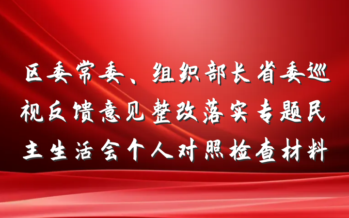 区委常委、组织部长省委巡视反馈意见整改落实专题民主生活会个人对照检查材料
