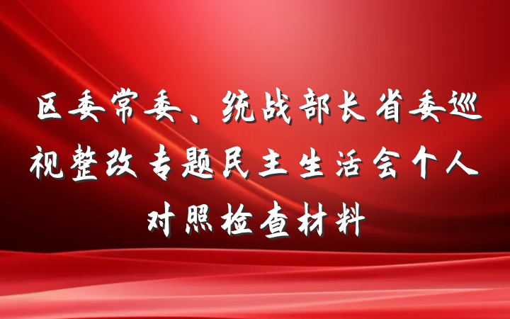 区委常委、统战部长省委巡视整改专题民主生活会个人对照检查材料